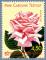 Congrs mondial des roses anciennes Rose Mme Caroline Testout 3249
