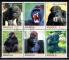 Angola / 2000 / Bloc 6 timbres oblitrs / Gorilles ...
