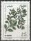 Timbre neuf ** n 1023(Yvert) Algrie 1992 - Fleurs mdicinales