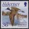 Alderney (Aurigny) 2005 - Oiseau migrateur: pluvier dor - YT 262/SG 261 **