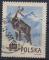 POLOGNE N 787 o Y&T  1954 Animaux des forts (Chamois)