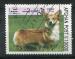Timbre AFGHANISTAN 1999  Obl  N 1856 Mi.  Chiens