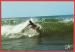 Sport : Surf sur la cte Atlantique - Carte neuve TBE