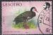 Lesotho 1988 Oblitr Bird Oiseau Plectropterus gambensis Oie arme de Gambie SU