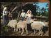 CPM neuve Grce CORFOU Paysans de Corfou avec leurs moutons