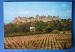 CP 11 Carcassonne - Vue gnrale des fronts ouest et sud