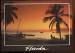  CPM Etats-Unis Florida Tranquil palms and beautiful beaches make  up this tropi