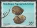 Timbre oblitr n 683A(Yvert) Congo 1982 - Coquillages