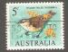Australia - Scott 400  bird / oiseau