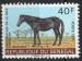 SENEGAL N 343 o Y&T 1971 Amlioration de la race chevaline (Mbayang)