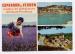 Carte Postale Moderne Alpes de Haute Provence 04 - Esparron de Verdon, lavande