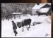 CPM Reproduction neuve Vieux Mtiers le Chasse-neige ( Les Vosges )