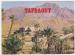 Carte Postale Moderne Maroc - Tafraout, vue de la palmeraie
