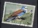CHYPRE 1969 - YT 314 - Oiseaux - Coracias garrulus - Rollier d'Europe