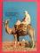 TUNISIE - CPM  1733 -  Le targui et son chameau -   d Kahia