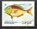 Oman - NOI 5   fish / poisson