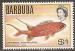  barbuda -- n 25  neuf** -- 1968