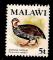 Malawi - Scott 236 mng  bird / oiseau