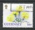 GUERNESEY - 1992 - Yt n 569 - Ob - Fleurs ; oeillets jaunes ; flower