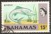 bahamas -- n 313  obliter -- 1971