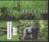 Jersey 2012 - Jambo, le gorille,  4 pattes - YT 1757 / SG 1689 **