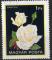 HONGRIE N 2806 o Y&T 1982 Fleurs Roses (Pascali)