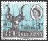 RHODESIE DU SUD - 1964 - Yt n 96 - Ob - Antilope kudu