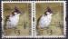 Hong-Kong 2006 - Oiseau/Bird: bulbul orphe, paire, obl./used - YT 1311  (x2)