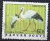 HONGRIE N 2537 o Y&T 1977 Oiseaux rares (Cigognes)