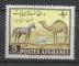 AFGHANISTAN - 1961 - Yt n 522 - N* - Journe de l'agriculture ; cheval ; mouton