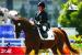 Carte postale, Paralimpic Games, Equestrian