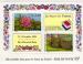 Blocs et feuillets : YT n27 - Salon du timbre Parc Floral Paris - Luxe**
