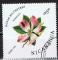Nicaragua / 1986 / Rosa rubrifolia / YT PA n 1131, oblitr