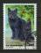 FRANCE 1999 / YT 3283  NATURE - CHAT " CHARTREUX "   OBL RONDE