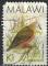 Malawi 1988 Oblitr Used Bird Oiseau Aplopelia Larvata Pigeon  Masque Blanc SU