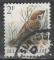 Belgique/Belgium 1989 - Oiseau Buzin: moineau friquet - YT 2348 