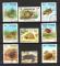 FAUNE TORTUES TIMBRES OBLITRS LOT 06 02 2