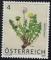 Autriche 2007 Used Plante Taraxacum Officinale Y&T AT 2505 SU