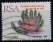 AFRIQUE DU SUD N 781 Y&T o 1992 fleurs de cactus (tapelia grandiflora) 