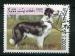 Timbre AFGHANISTAN 1999  Obl  N 1857 Mi.  Chiens