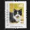 France Collector Les timbres de la SPA - Les chats oblitr