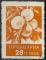 Bulgarie 1953 - Fruit : abricot, 28 cm - YT 856 