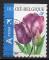 BELGIQUE N 3534 o Y&T 2006 Fleurs (Tulipe Rembrandt)