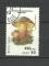 Madagascar timbre ob n 1010 anne 1990 Champignons : Boletus Calopus
