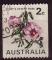 Australie 1971 - Fleur/Flower : rose de dsert - Y&T 447 