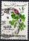 TUNISIE N° 645 o Y&T 1968 -1969 Fleurs (rose d'Ariana)