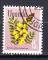 AF34 - 1969 - Yvert n 84 - Cassia au beurre d'arachide (Senna didymobotrya)