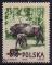 Pologne/Poland 1954 - Animaux des forts : bison et jeune, obl. - YT 785 