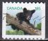 CANADA N 2806 de 2013 oblitr "l'ourson noir"