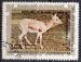 GUINEE EQUATORIALE N 90 (D) o Y&T 1976 Animaux d'Asie (Gazelle)